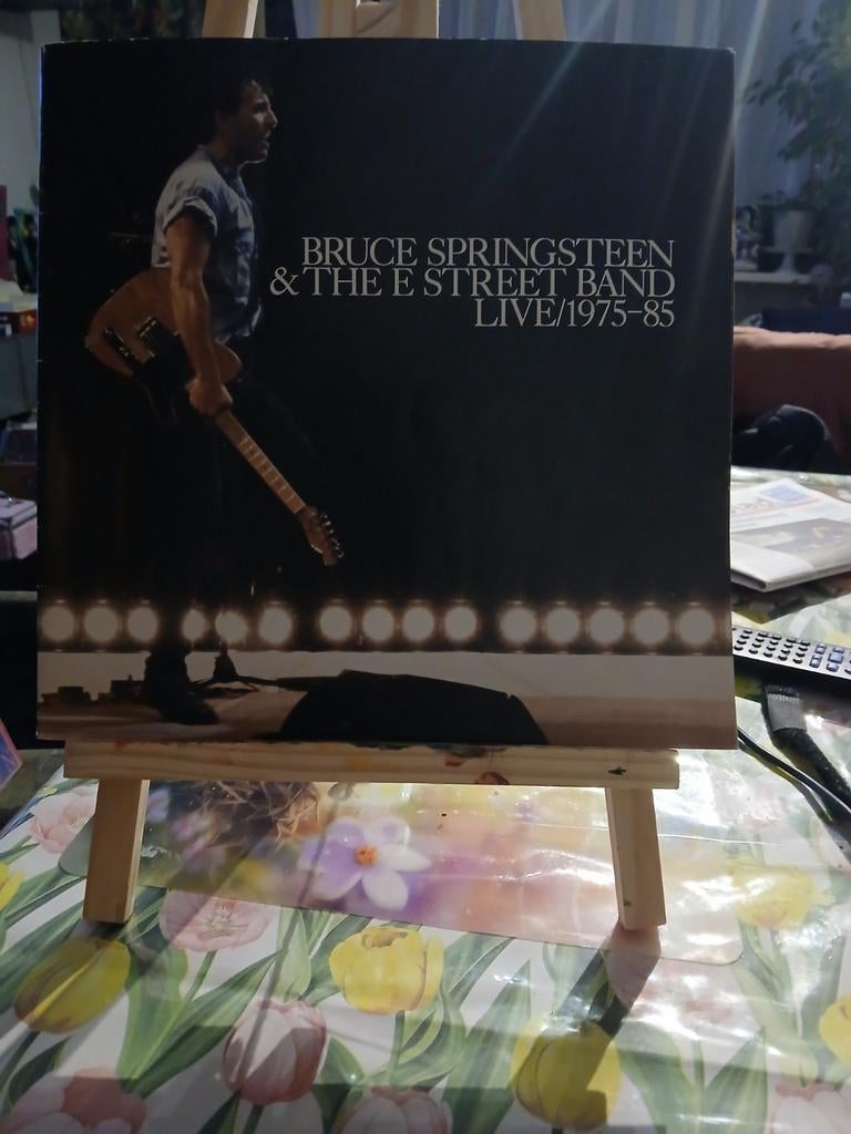 Bruce Springsteen boek & The E Street Band Live/1975-85, Ophalen of Verzenden
