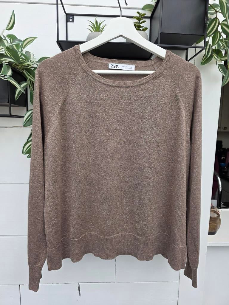 Zara truitje met glitter maat L, Kleding | Dames, Bruin, Zara, Maat 42/44 (L), Ophalen of Verzenden