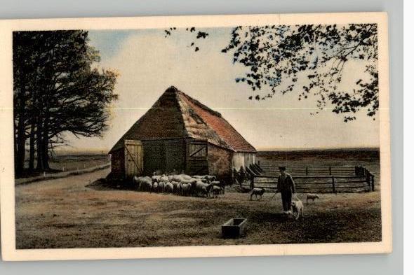 Ede Schaapskooi op de Ginkel