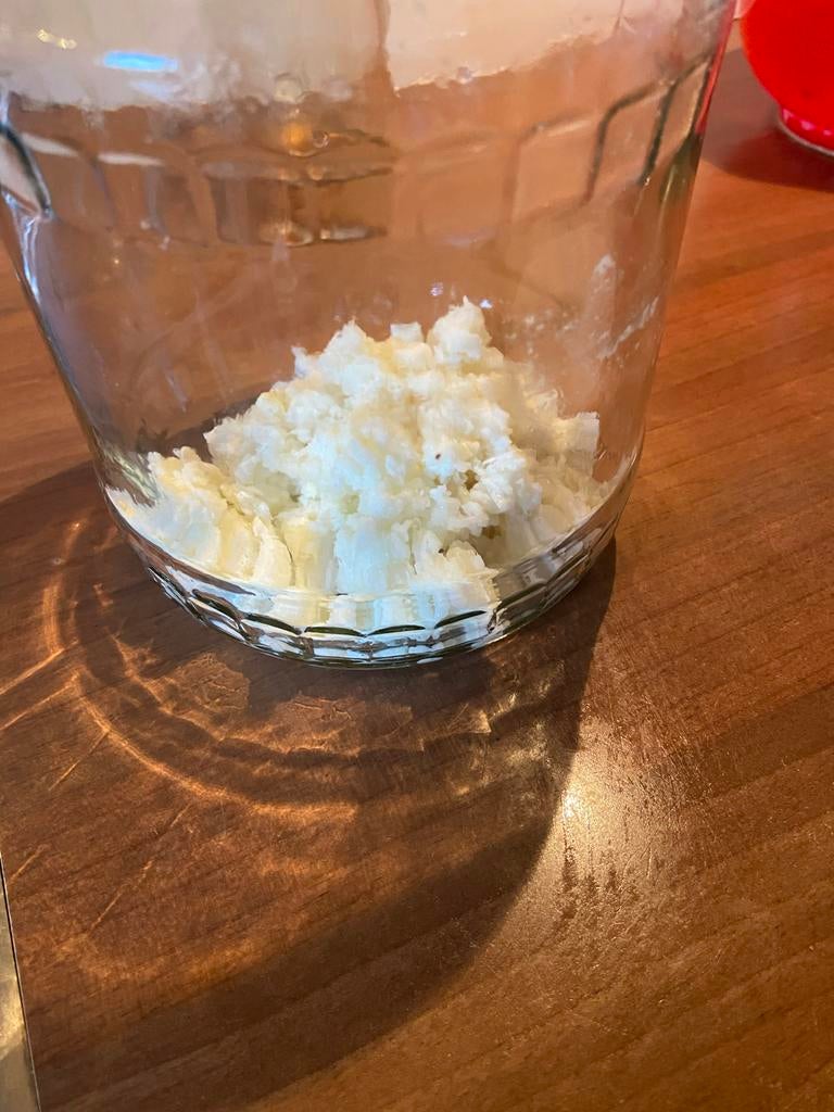 Kefir plant, Ophalen