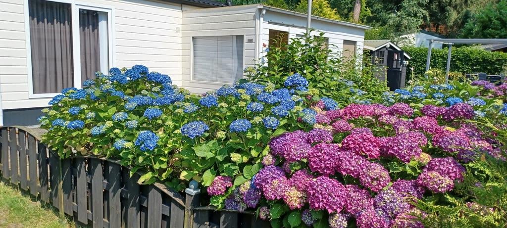 Te huur vakantiehuisje in Twente