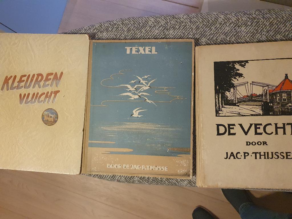 Plaattjesboeken, Boeken, Prentenboeken en Plaatjesalbums, Ophalen of Verzenden, Gelezen, Plaatjesalbum