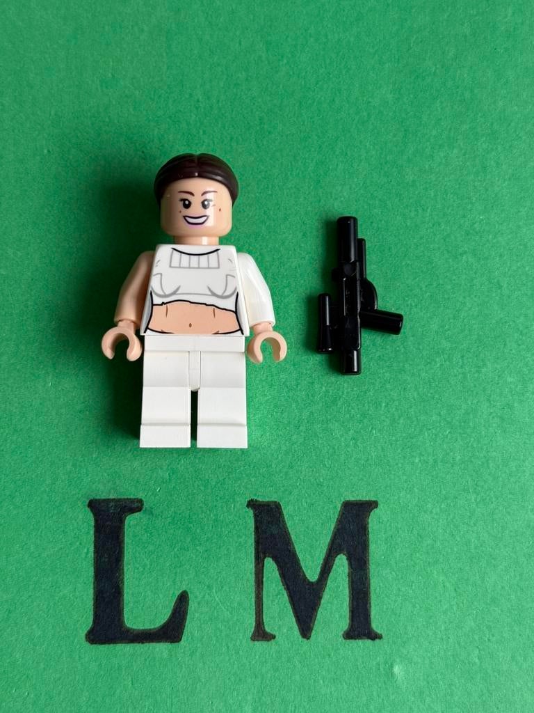 Lego Star Wars sw0490 Padmé Amidala Geonosis Arena SW 75021, Kinderen en Baby's, Speelgoed | Duplo en Lego, Ophalen of Verzenden