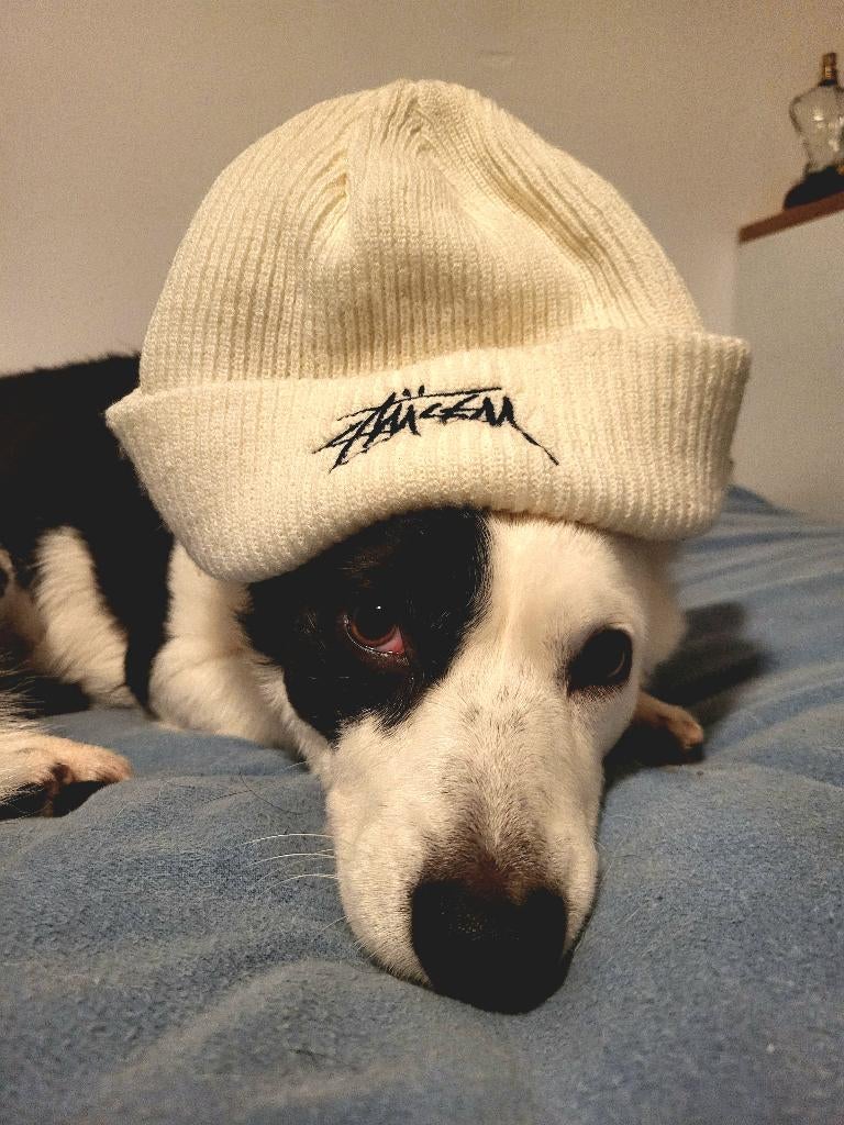 Te koop: Oma's muts (excl hond), Onbekend, Ophalen of Verzenden, Zo goed als nieuw, Maat 46 (S) of kleiner