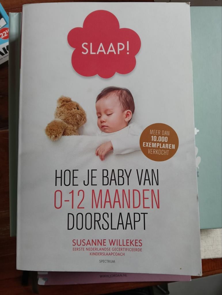 Slaap! Hoe je baby doorslaapt (0-12 maanden), Boeken, Zwangerschap en Opvoeding, Ophalen of Verzenden, Zo goed als nieuw, Zwangerschap en Bevalling