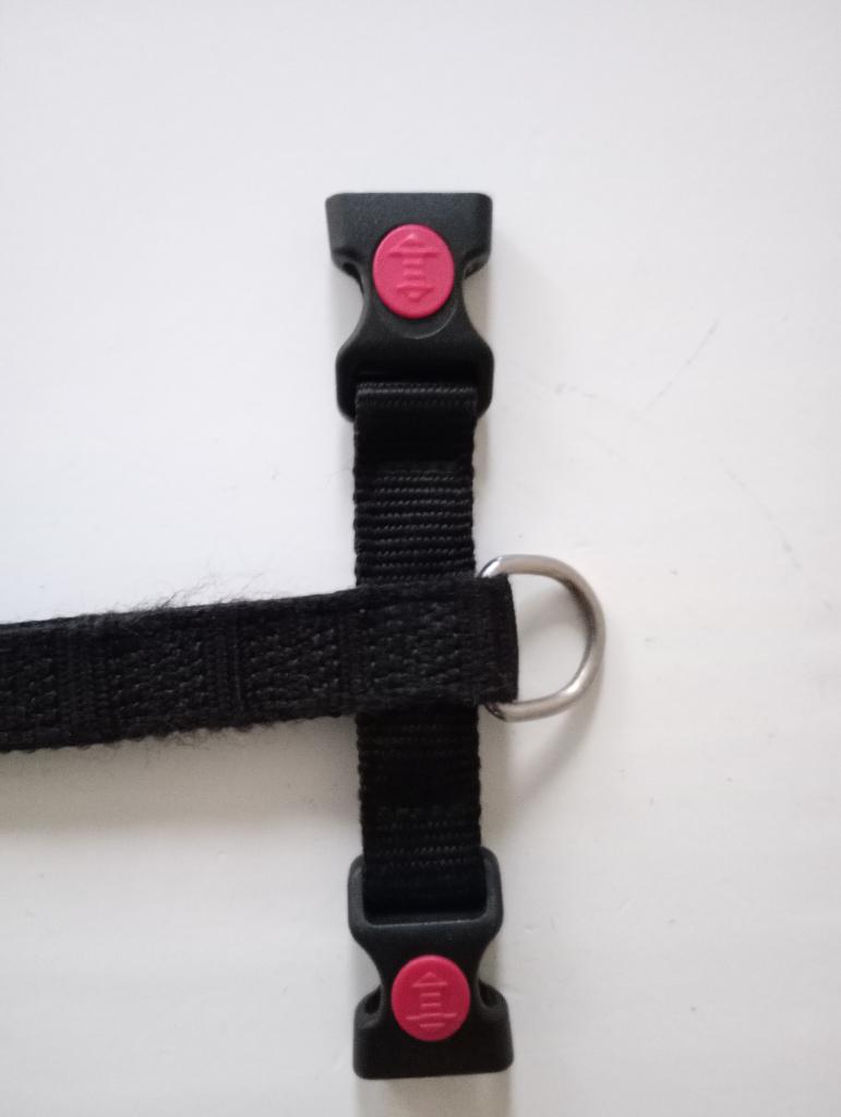 Hondentuig zwart met zekerheidssluiting formaat Heidewachtel, Ophalen of Verzenden, Zo goed als nieuw