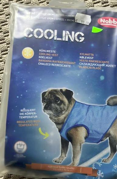 Koelvest maat l nieuw 37cm merk nobby, Ophalen of Verzenden, Nieuw