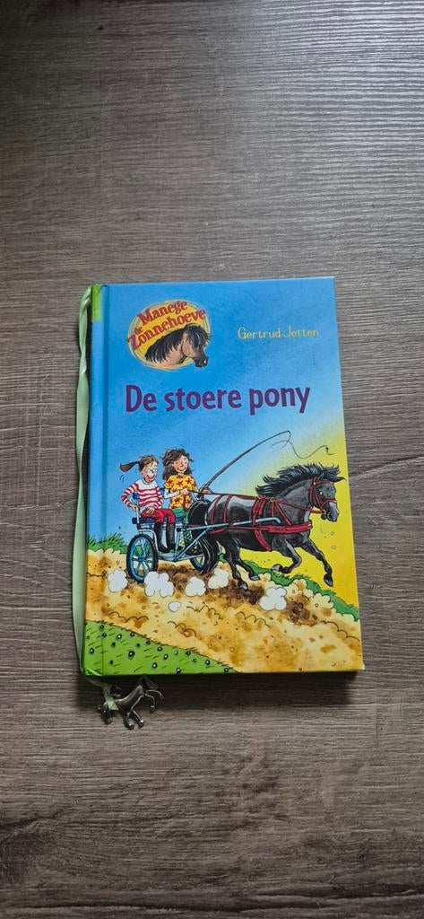De Stoere Pony - Gertrud Jetten, Boeken, Ophalen, Zo goed als nieuw, Gertrud Jetten