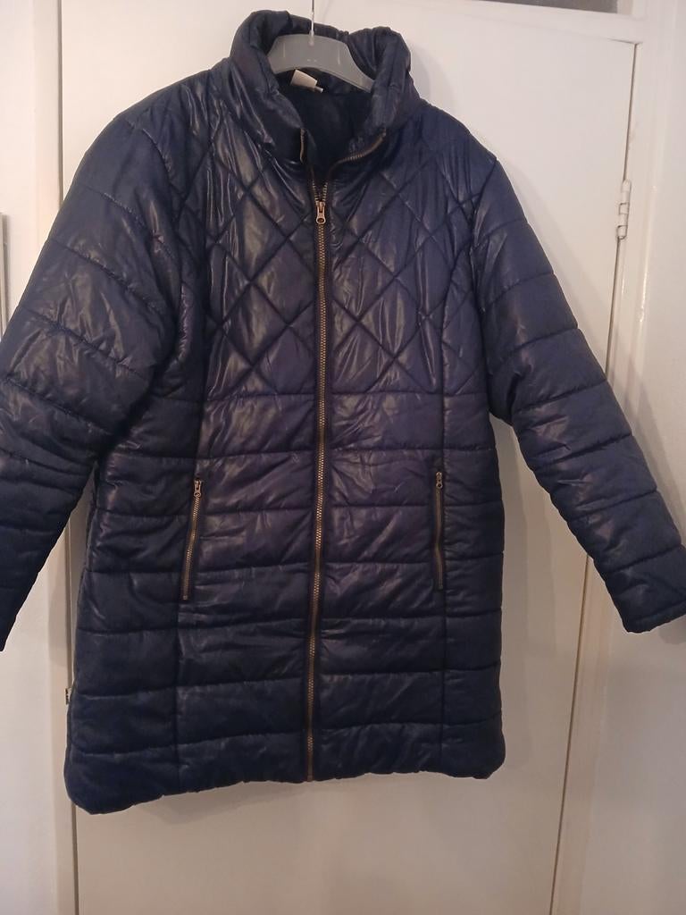 Winterjas, Ophalen of Verzenden, Gedragen, Maat 46/48 (XL) of groter, Blauw