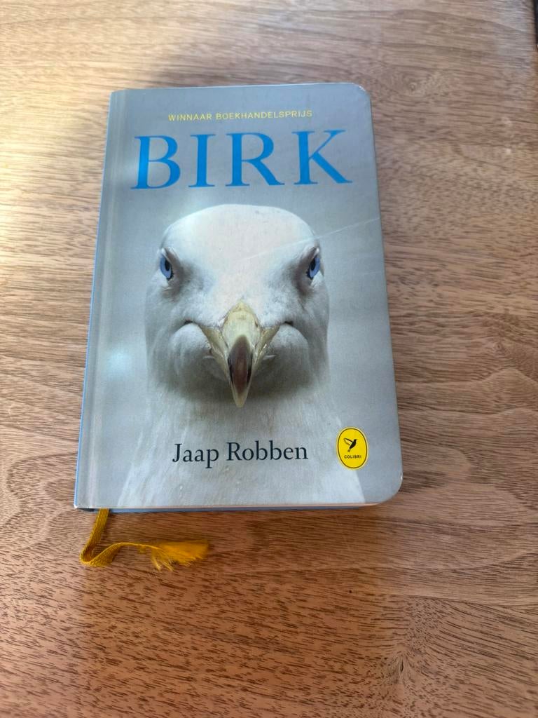 Jaap Robben - Birk, Boeken, Literatuur, Ophalen of Verzenden, Zo goed als nieuw, Jaap Robben