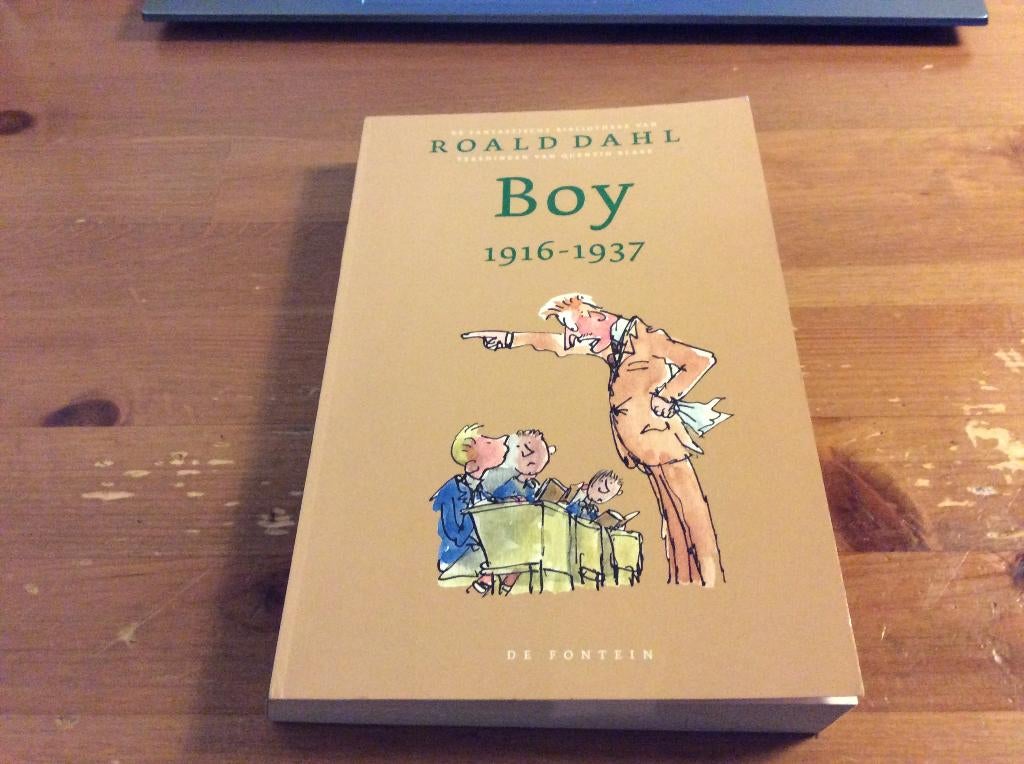 Boy 1916 - 1937. jeugd semi-autobiografie van Roald Dahl, Ophalen of Verzenden, Gelezen, Roald Dahl