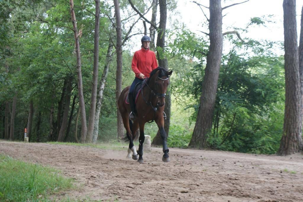 Gediplomeerde instructeur op locatie + amazone voor training