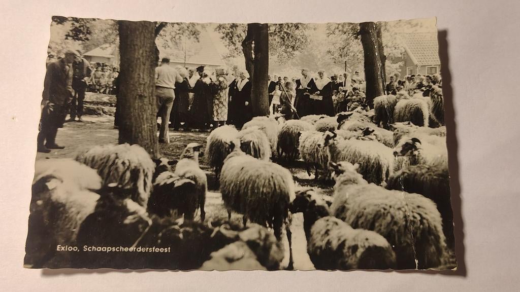 Exloo Schaapscheerdersfeest, Ophalen of Verzenden