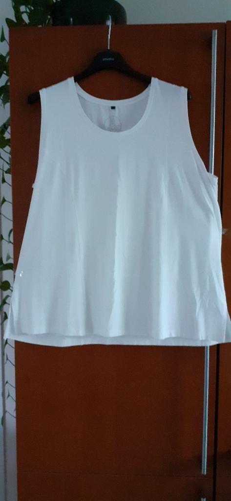 Top maat 48-50  [52] van N0-Secret, Wit, Zo goed als nieuw, No-Secret, Shirt of Top