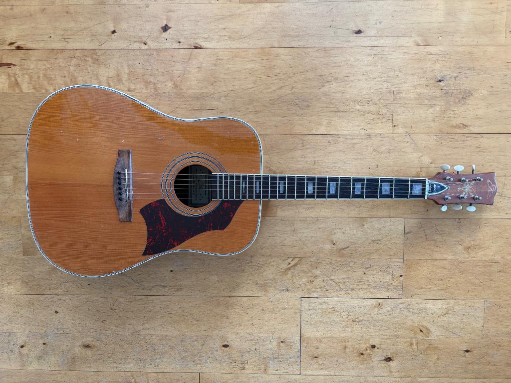 Eko Rio Bravo 6, Ophalen, Gebruikt, Western- of Steelstringgitaar