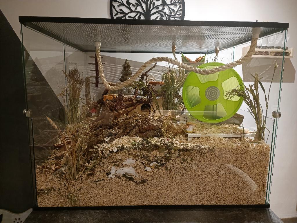 Grote muizenkooi van glas 100x93x76 op maat, Dieren en Toebehoren, Kooi, 60 tot 90 cm, Nieuw, Ophalen of Verzenden