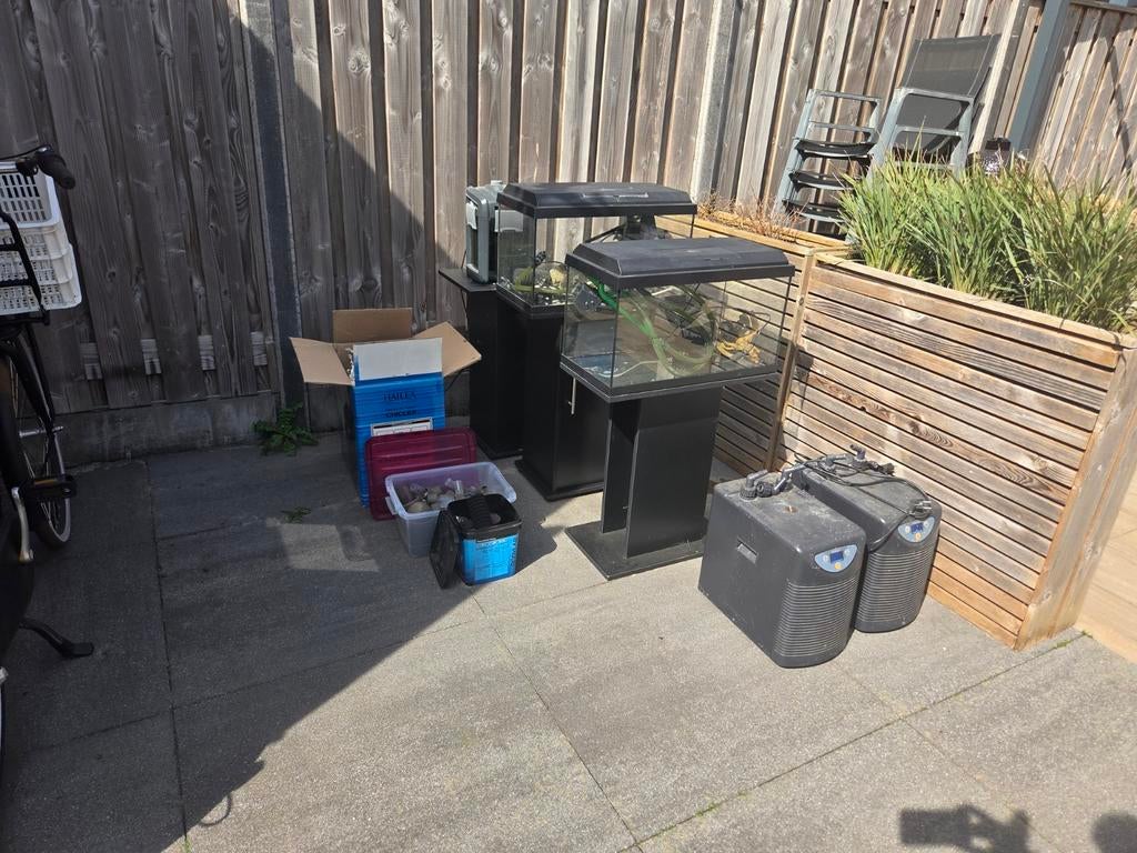 Aquaria + toebehoren, Ophalen