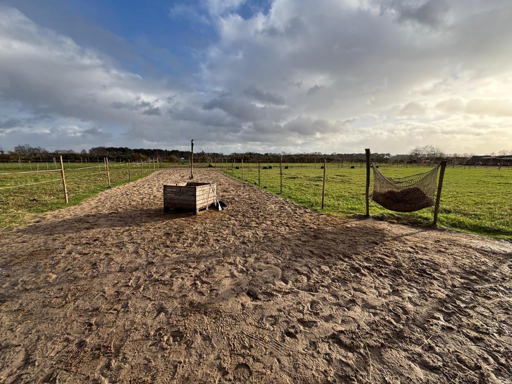Kleinschalige Paddock Paradise in Rucphen, Dieren en Toebehoren, Stalling en Weidegang