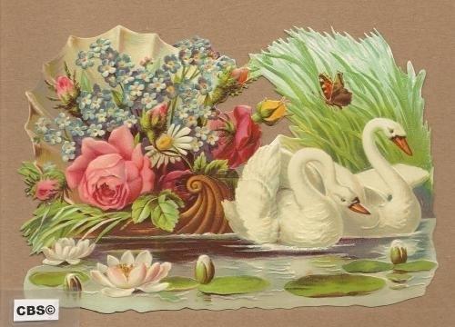 Zwanen trekken bloemenschuitje voort poezieplaatjes 5088, Ophalen of Verzenden