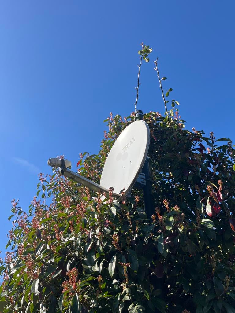 Triax schotelantenne, Ophalen, Gebruikt, (Schotel)antenne, Overige merken