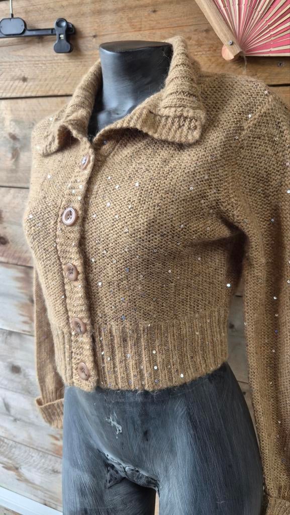 Jeff korte vest/gilet met pailletten, maat 40, Kleding | Dames, Maat 38/40 (M), Jeff, Beige, Ophalen of Verzenden