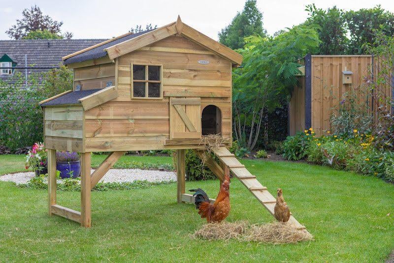 Kippenhok Jasper, Ophalen of Verzenden, Nieuw, Kippenhok of Kippenren