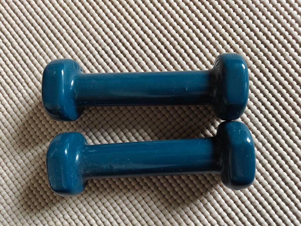 Dumbbells 0,5 kg blauw - Decathlon nyamba, Ophalen of Verzenden, Gebruikt, Armen, Dumbbell