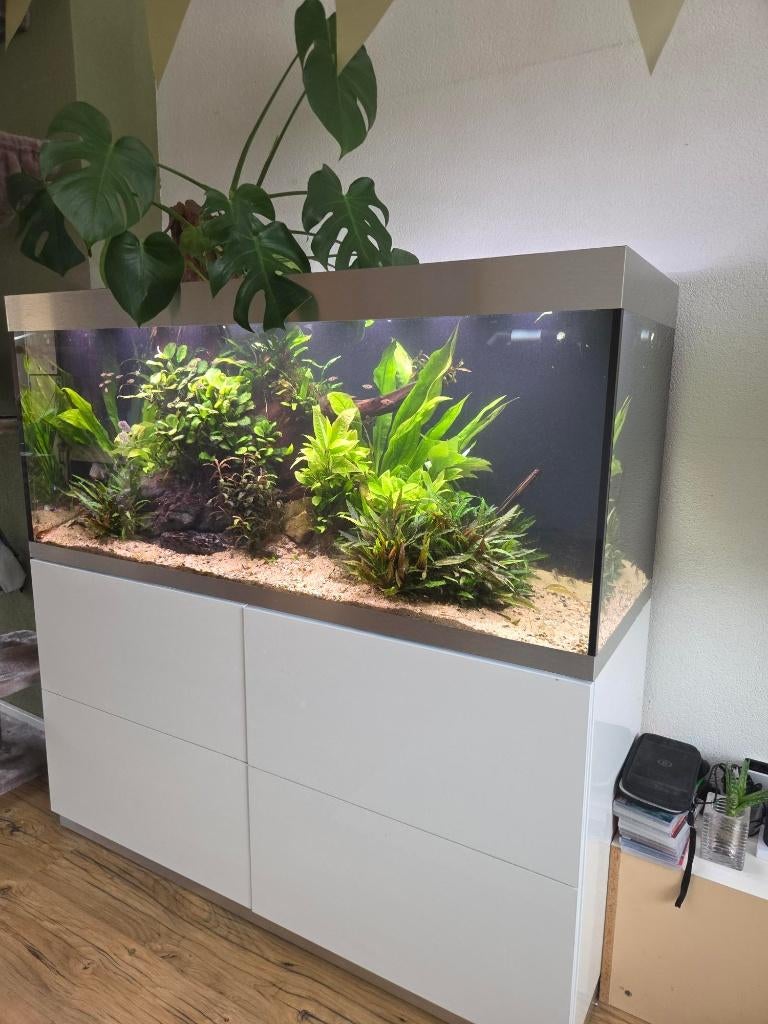 Oase Highline 400 aquarium inclusief toebehoren, Ophalen, Gebruikt, Oase, Gevuld zoetwateraquarium