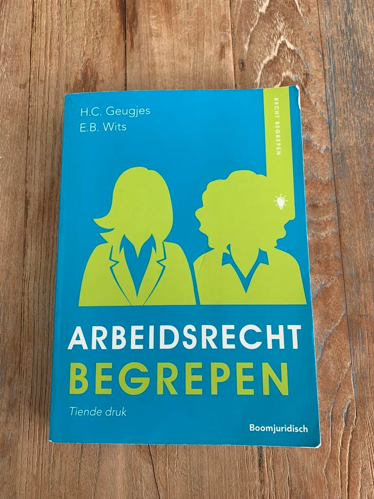 Arbeidsrecht begrepen, Boeken, Ophalen of Verzenden, Beta, Zo goed als nieuw, HBO