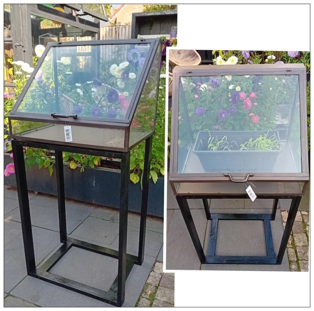 Moestuin kas, kweekkas, greenhouse glas/staal NIEUW, Ophalen, Glas, Nieuw, Staal