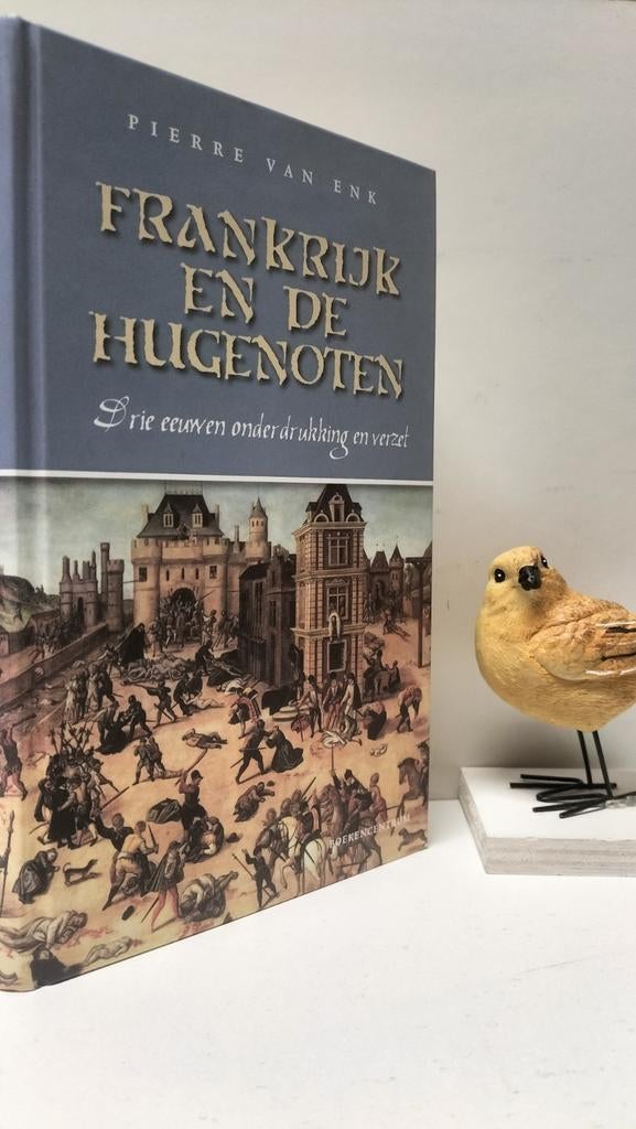 Enk, Pierre van; Frankrijk en de Hugenoten, Ophalen of Verzenden, Gelezen, Christendom | Protestants