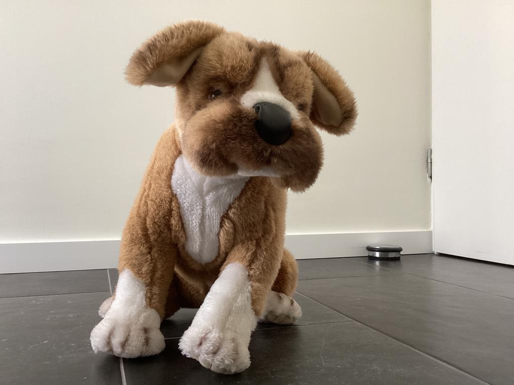 Boxer knuffel, Ophalen, Zo goed als nieuw, Hond