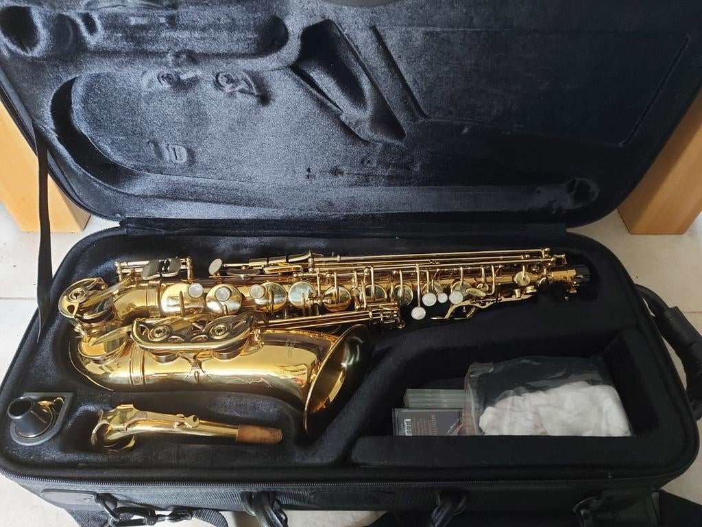 Startone SAS-75 Alt Saxofoon met koffer, Ophalen of Verzenden, Gebruikt, Alt, Met koffer