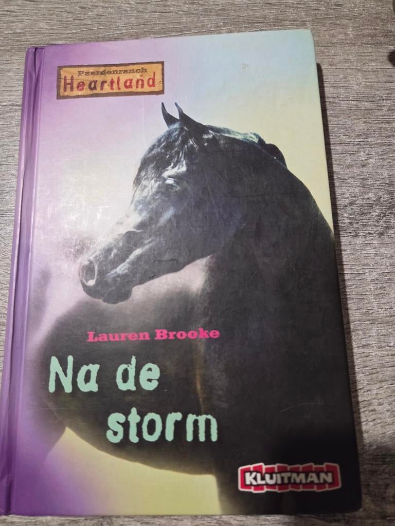 Paardenranch Heartland: Na de storm, Boeken, Ophalen of Verzenden