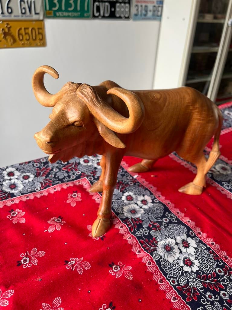 Os  Buffel hout, Ophalen of Verzenden