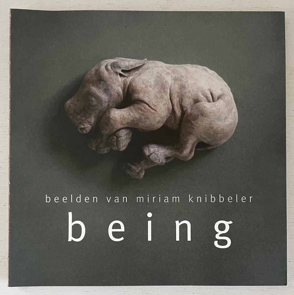 Being - beelden van Miriam Knibbeler, Ophalen of Verzenden, Zo goed als nieuw, Fotografen