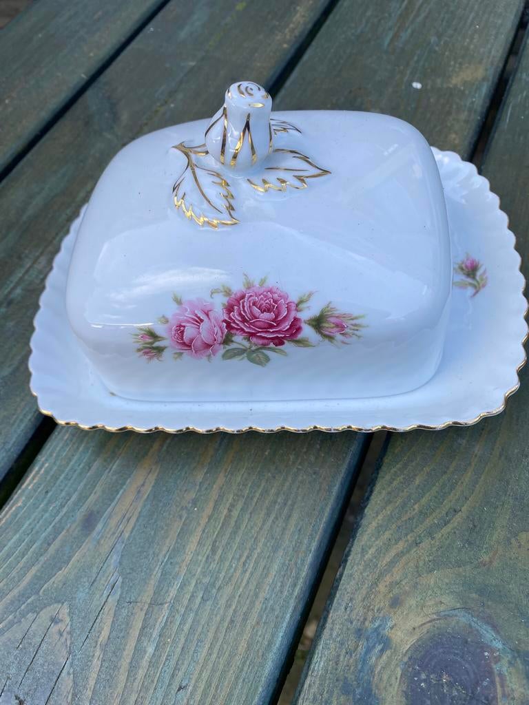 Botervloot Kaiser Moosrose, Ophalen of Verzenden