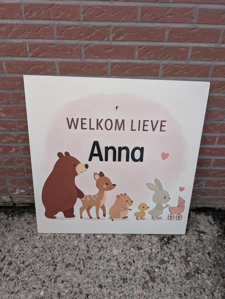 Geboortebord Dierenparade met naam, Ophalen, Zo goed als nieuw, Geboortebord