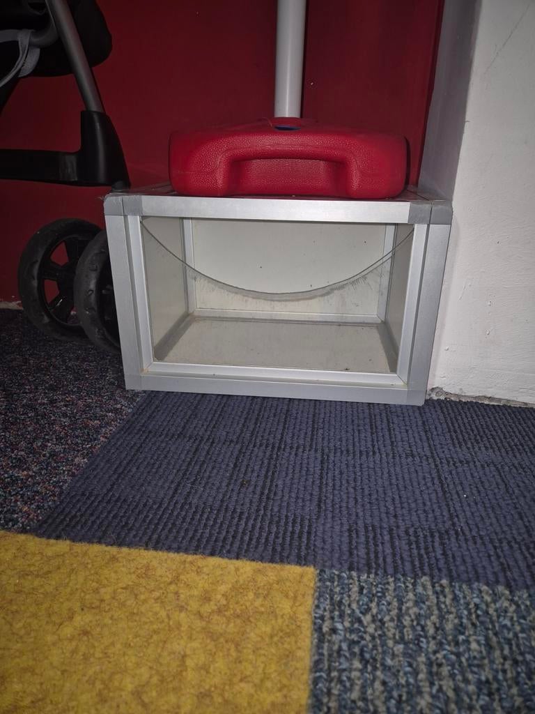 Groot en degelijk zandbad voor chinchilla's/ degoes, Ophalen