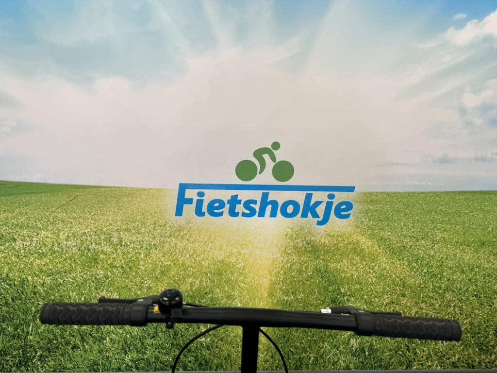 Fietshokje Amersfoort: Nieuwe Totem Cabu vouwfiets, Fietsen en Brommers, Fietsen | Vouwfietsen, 20 inch of meer, Heren, Versnellingen