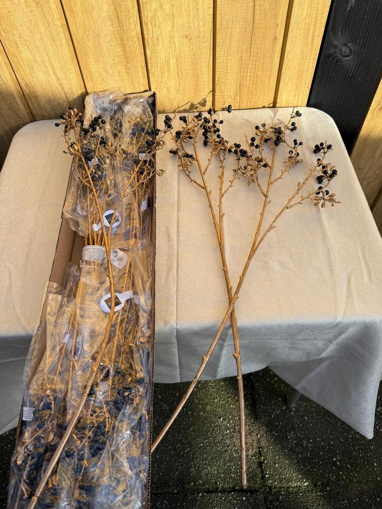 12x tak bessen bladeren donker, Ophalen of Verzenden, Nieuw