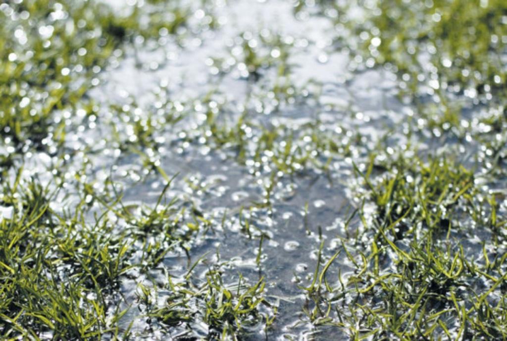 infiltratiekrat , infiltratiebox 37.00€, Ophalen, Afvoer, Pvc, 60 tot 80 mm