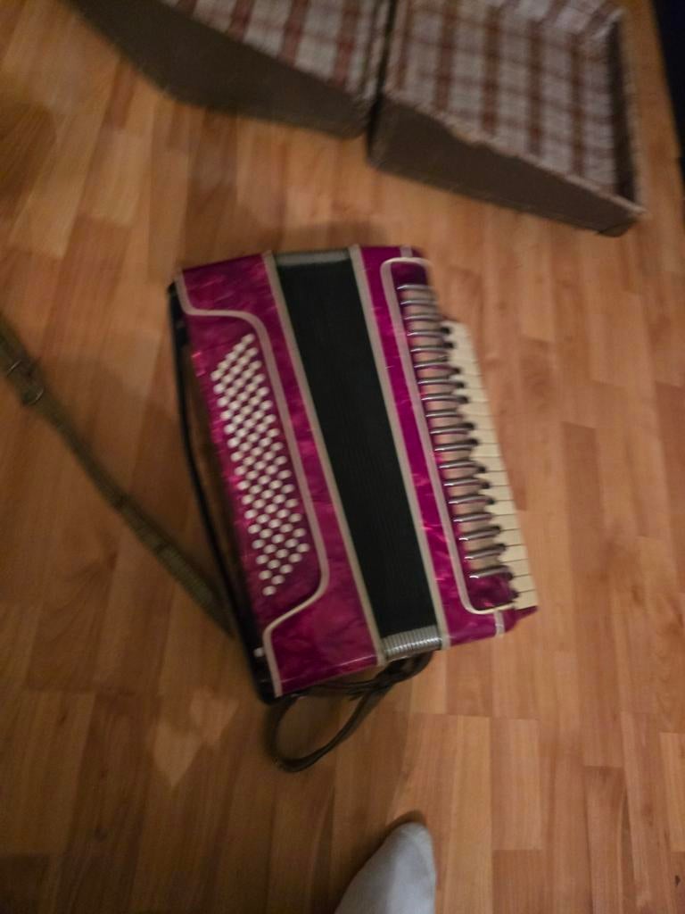 Mooie accordeon in goede staat, Muziek en Instrumenten, Accordeons, Ophalen of Verzenden