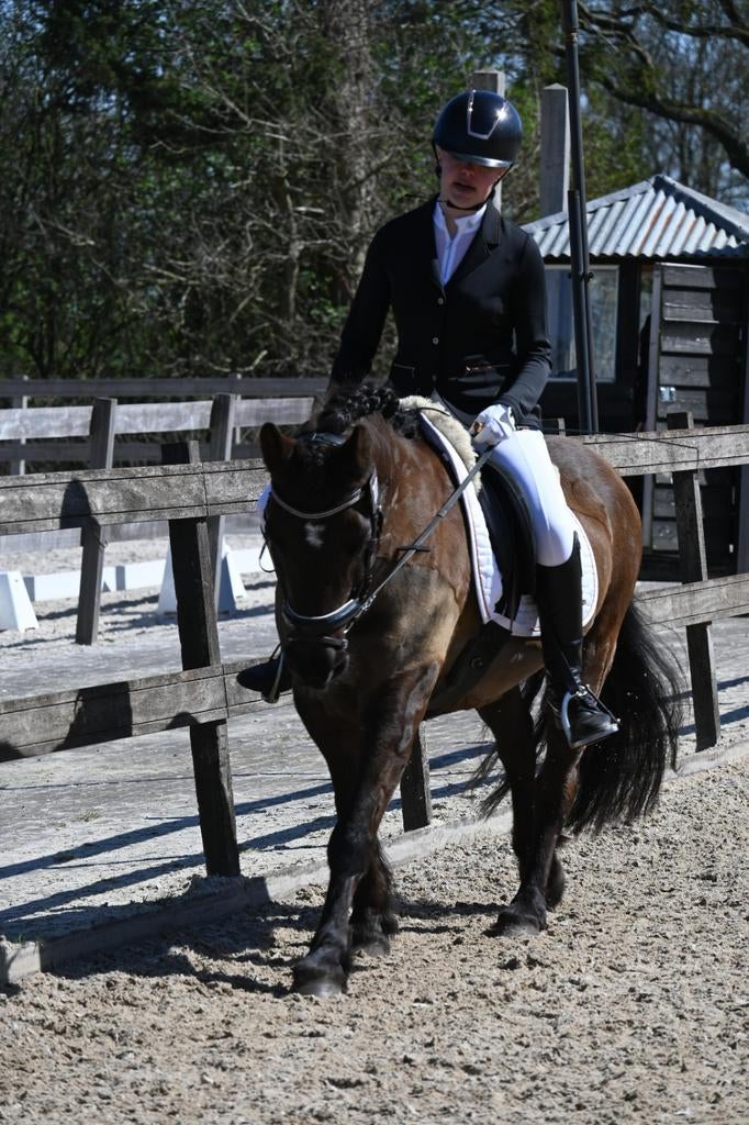Bijrijdpaard gezocht/bijrijder aangeboden/stalhulp aangebode, Ophalen of Verzenden