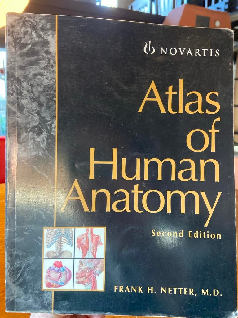 Atlas of Human Anatomy - Frank H. Netter, Ophalen of Verzenden, Beta, Gelezen, WO