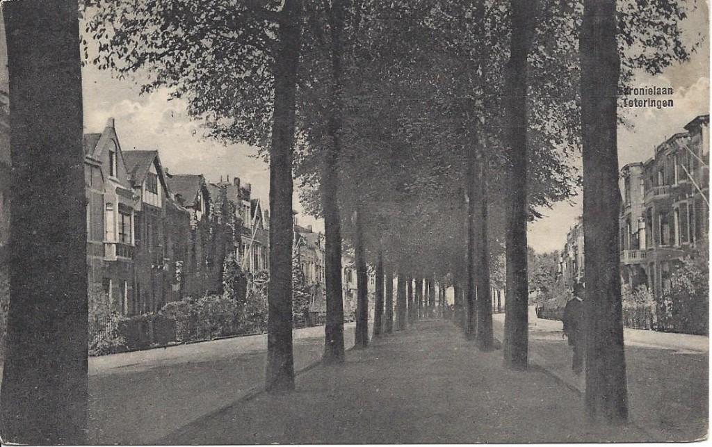 Teteringen (N.Br.) Baronielaan, Volk, ca. 1910, Verzamelen, Ansichtkaarten | Nederland, Verzenden, Voor 1920, Ongelopen, Noord-Brabant