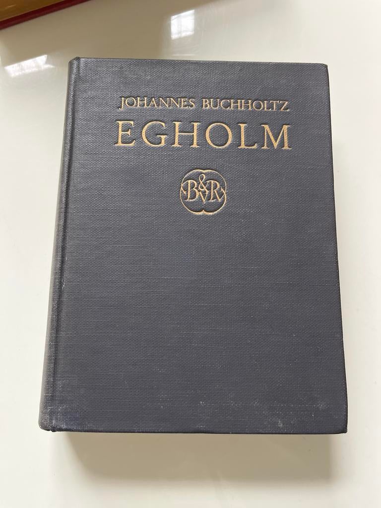 Egholm - Johannes Buchholtz, Ophalen of Verzenden, Gelezen, Nederland