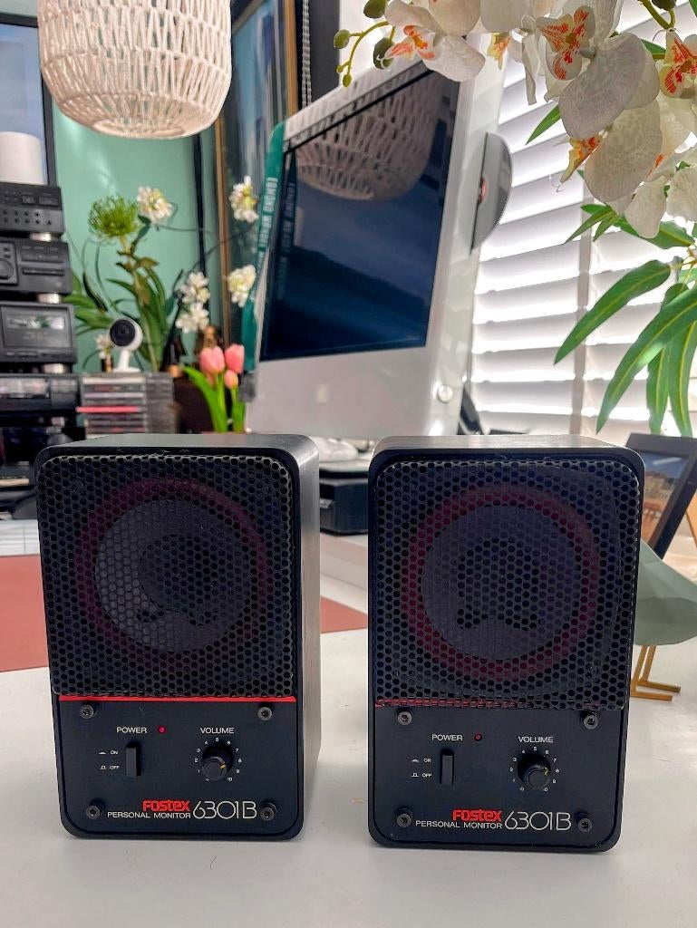 Fostex 6301B personal monitor 33W, Ophalen of Verzenden, Gebruikt, Minder dan 500 watt, Monitor(versterker)