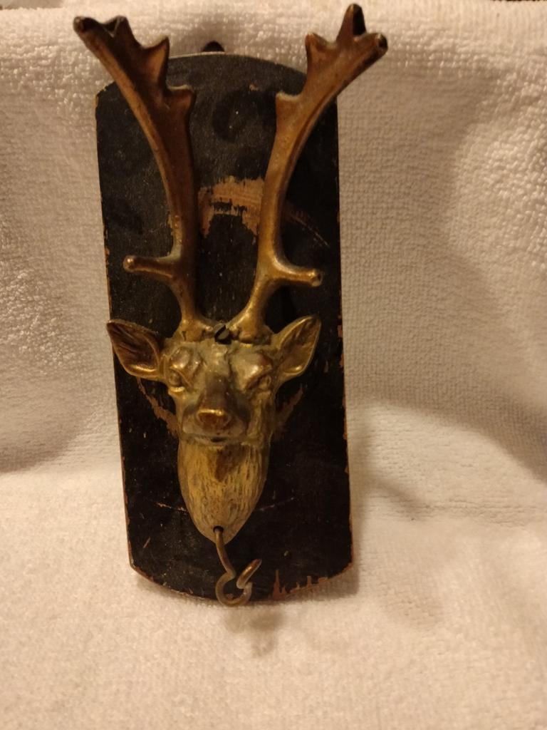 Decoratieve Hertenkop Klein, Ophalen of Verzenden, Gebruikt, Hert, Gewei of Kop