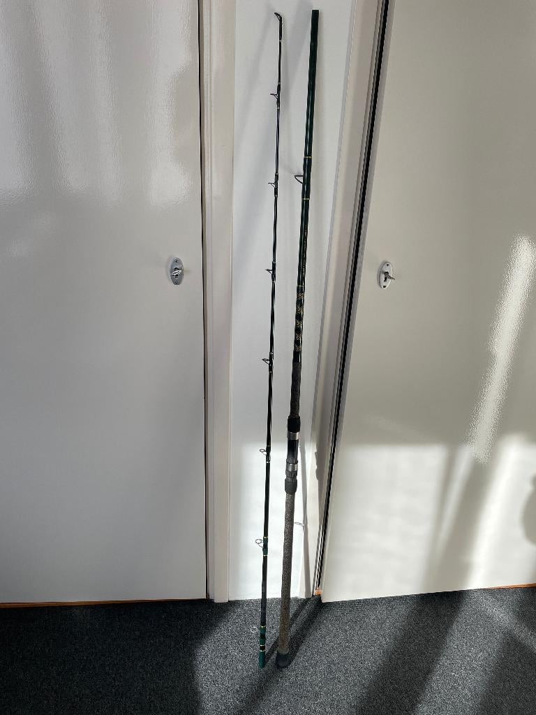 korte strandhengel te koop, Ophalen of Verzenden, Zo goed als nieuw, Werphengel